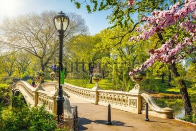 Fototapeta Bow Bridge w Nowojorskim Central Parku