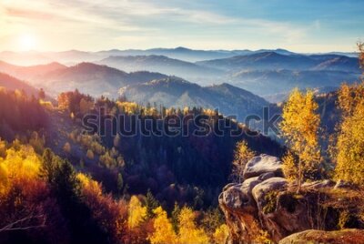 Fototapeta Majestatyczny górski las