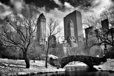 Fototapeta Czarno-biały Central Park w Nowym Jorku