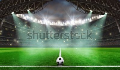 Fototapeta Piłka nożna na stadionie