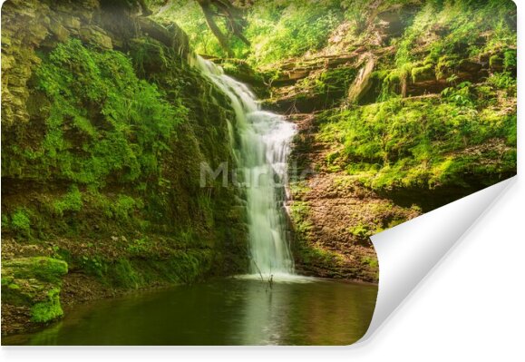 Fototapeta Wodospad w lesie pełnym zieleni