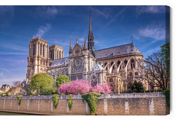 Obraz Katedra Notre Dame wiosną